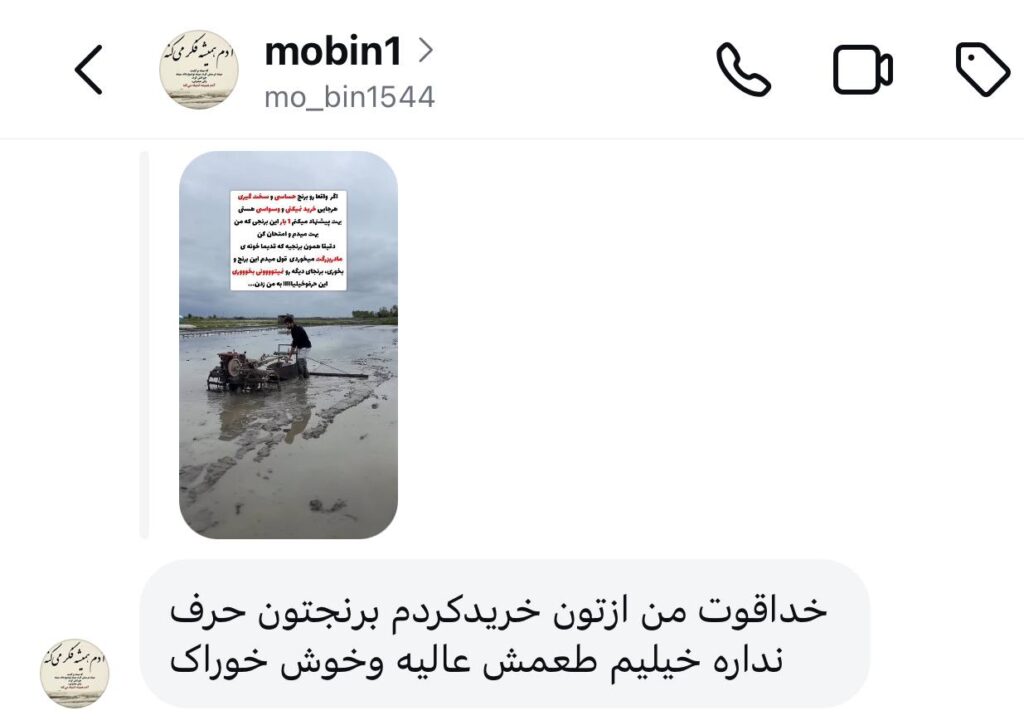 photo_5960752916052690404_y